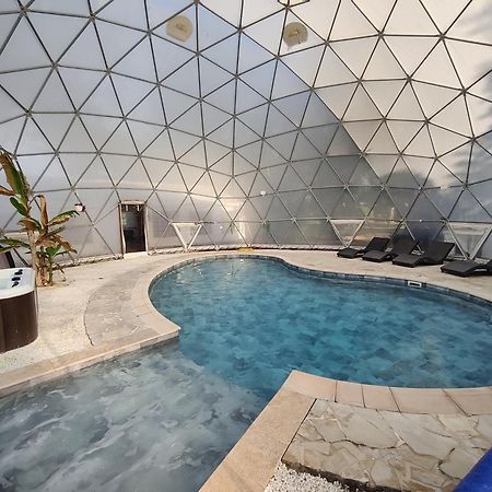 סן-ז'יל Mas Du Versadou, Dans Un Espace Naturel Protege, Piscine Couverte Chauffee Toute L'Annee, Spa Et Salle De Jeux מראה חיצוני תמונה